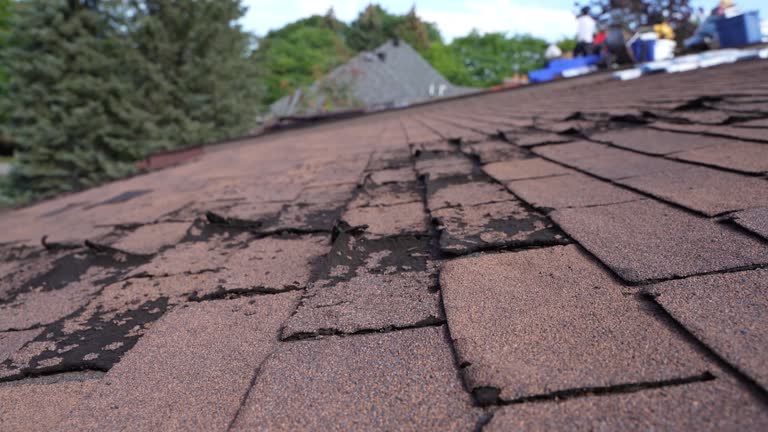 Best Green or Eco-Friendly Roofing Solutions  in Pine, AZ